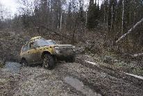 IMG_ (13)